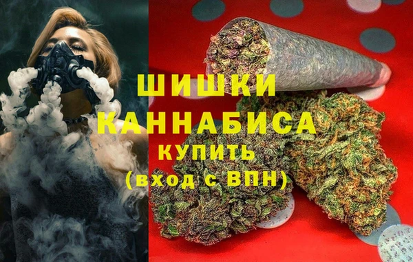 ALPHA PVP Коряжма
