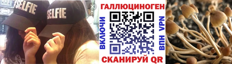 Псилоцибиновые грибы Magic Shrooms  Цивильск 
